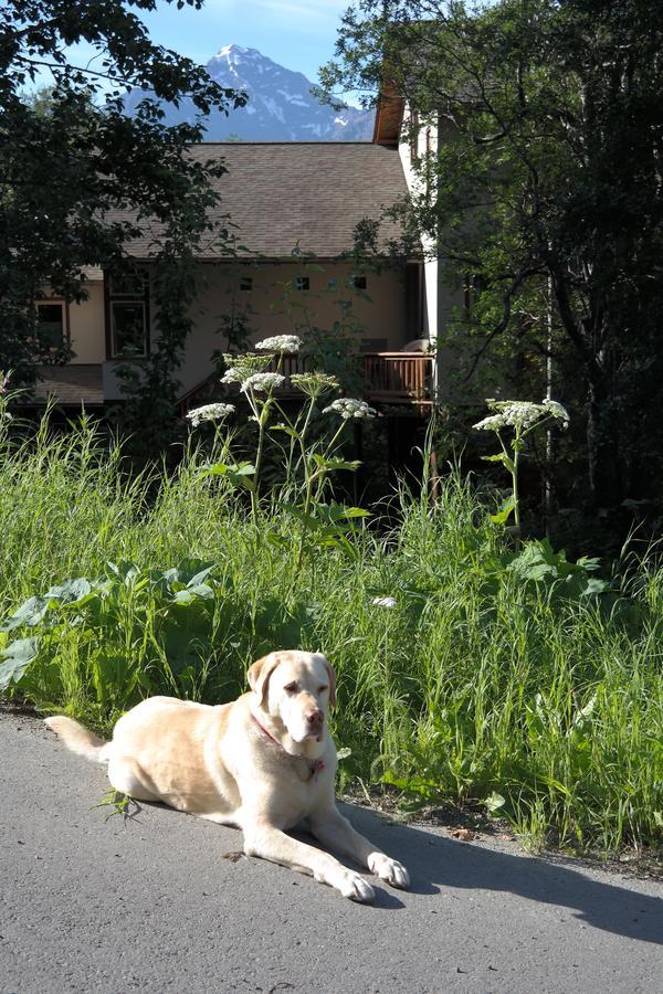 Eagle Peak Guesthouse Eagle River 외부 사진