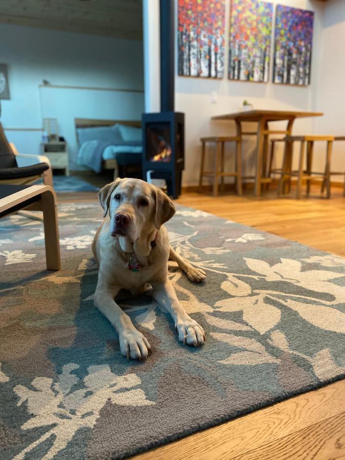 Eagle Peak Guesthouse Eagle River 외부 사진